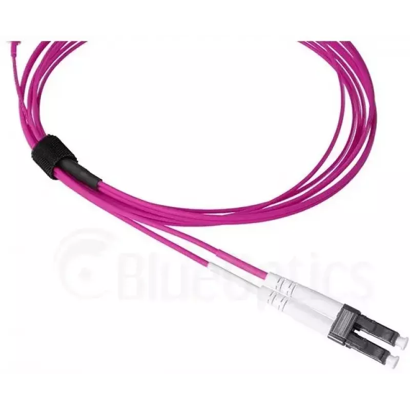 Fiiberoptiline kaabel BlueOptics SFP9331FU3MK SN LC OM4 3 m Violet