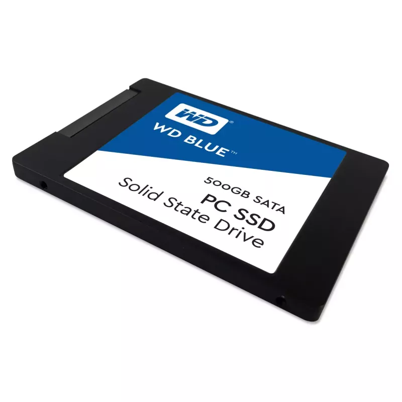 SSD-ketas Western Digital 500 GB 2,5-tolline SATA III WDS500G1B0A