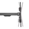 InLine XL-Arm Full-Motion TV seinakinnitus, 43–80-tollistele lameekraan-teleritele, max 50 kg