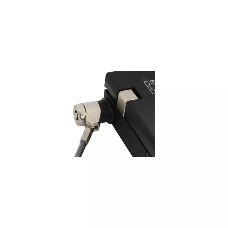 InLine sülearvuti turvalukk võtmega 4,4 mm x 2 m