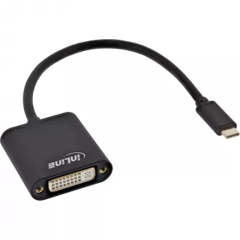 USB Display Converter InLine 64103B USB-C isane DVI emasele