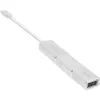 InLine USB-kuvari konverterikomplekt 6-ühes, 4K/60Hz hõbedane