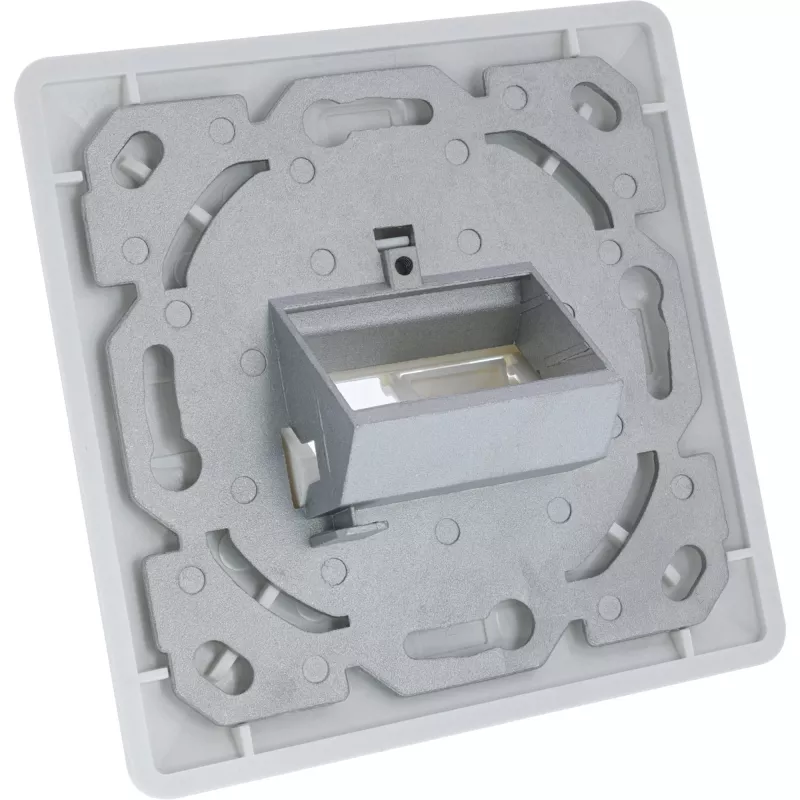 InLine raamikomplekt 2x RJ45 keystone SNAP‑In jaoks, valge RAL9010