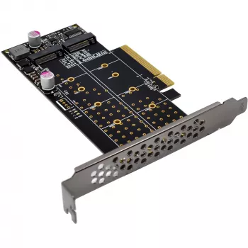 InLine 76660N sisemine M.2 liidesekaart PCIe isane 64 Gbit/s