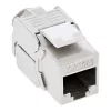 InLine Cat.6A seinakarp, süvistatav, 2x RJ45, valge RAL9010