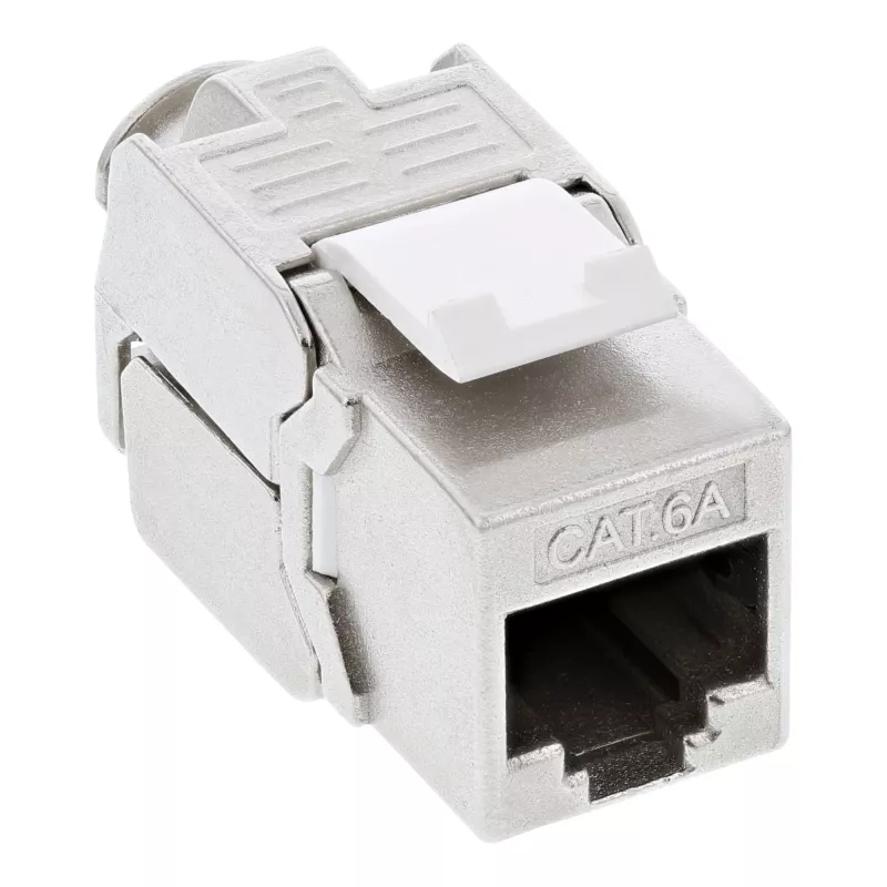 InLine Cat.6A seinakarp, süvistatav, 2x RJ45, valge RAL9010