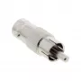 Video Adapter InLine 99320 RCA isane BNC emasele