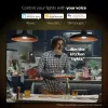 Nutikas LED stardikomplekt Philips Hue Valge and Colour Ambience — 2× E27 11W lambid, Bluetooth/Zigbee