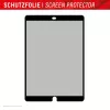 Displex TABLET PRIVACY SAFE eemaldatav kahepoolne privaatsusfilter iPad 10,2'' (7./8./9. põlvkond)