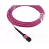 BlueOptics EMC CBL-MPO12-4LC-OM4-7M InfiniBand fiiberoptiline kaabel 7.5 m