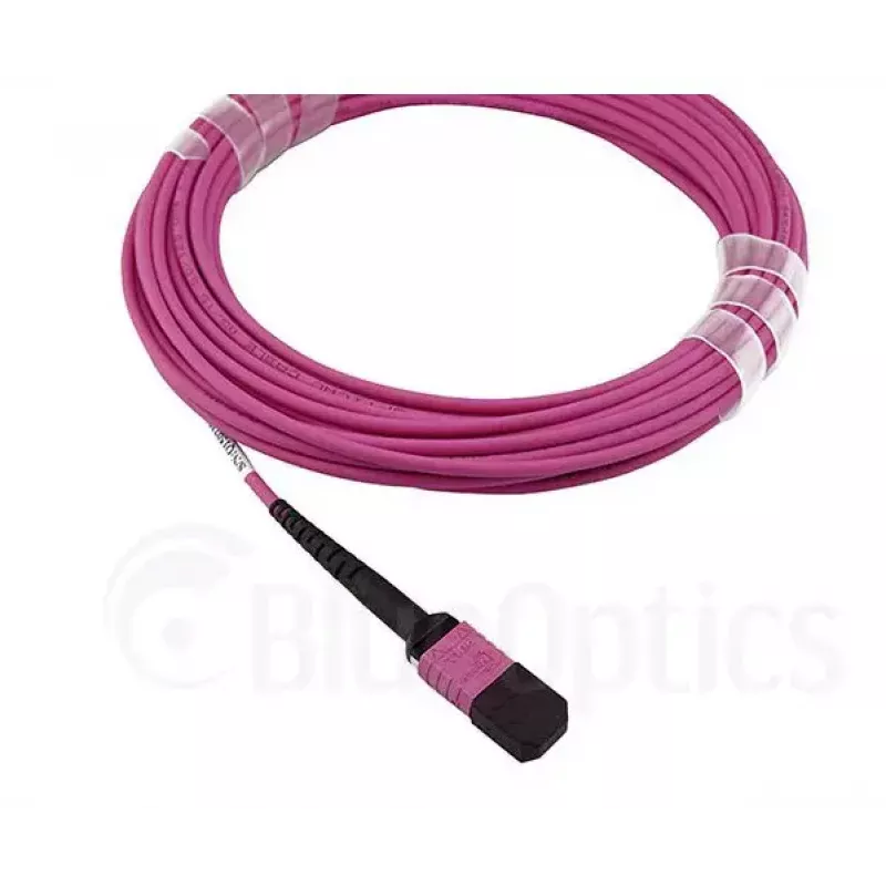 BlueOptics EMC CBL-MPO12-4LC-OM4-7M InfiniBand fiiberoptiline kaabel 7.5 m