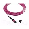 BlueOptics EMC CBL-MPO12-4LC-OM4-7M InfiniBand fiiberoptiline kaabel 7.5 m