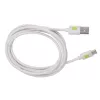 Techly ICOC MUSB20-CMAM20TW USB-kaabel USB 2.0 2 m USB A USB C Valge