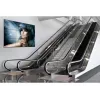 Peerless DS-VW765-LQR ekraanikinnitus digitaalsete siltide jaoks 165.1 cm (65 tolli) must