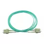 BlueOptics SFP3232EU1MK InfiniBand fiiberoptiline kaabel 1 m SC Roheline