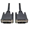 Techly Monitor kaabel DVI digital M / M Single Link 1.8 m (DVI-D) ICOC DVI-8000