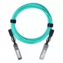 SFP AOC-kaabel BlueOptics SFP-AOC-10G-25M-LS-BO 25 m Isane/Isane