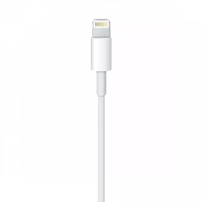 Kaabel Apple MQUE2ZM 1m Valge