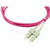 BlueOptics SFP3232FU2MK InfiniBand fiiberoptiline kaabel 2 m 2x SC