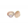 Puidust magnet Legamaster 25mm 5tk