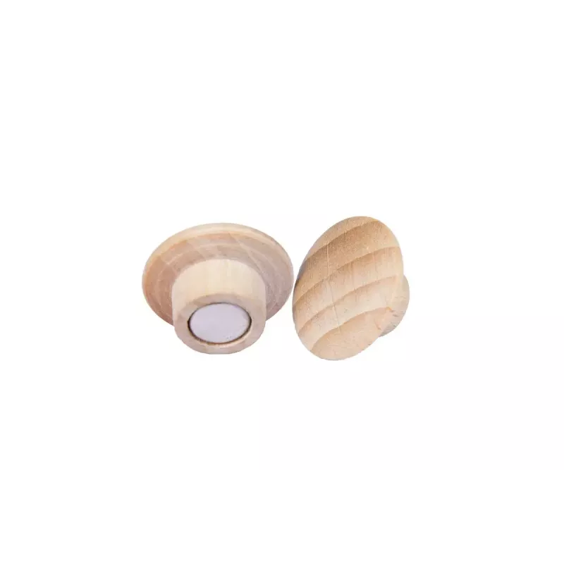 Puidust magnet Legamaster 25mm 5tk