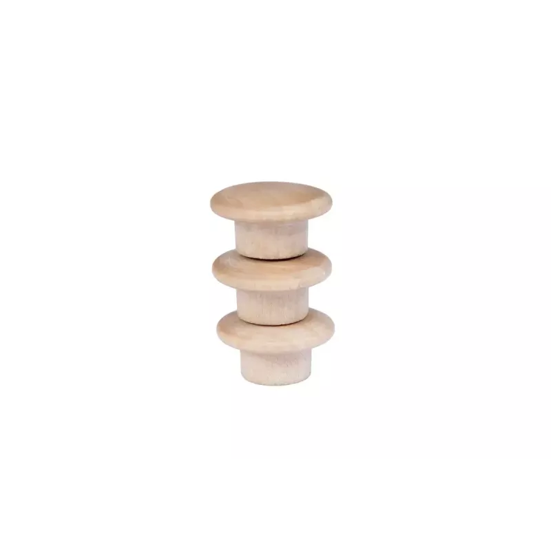 Puidust magnet Legamaster 25mm 5tk