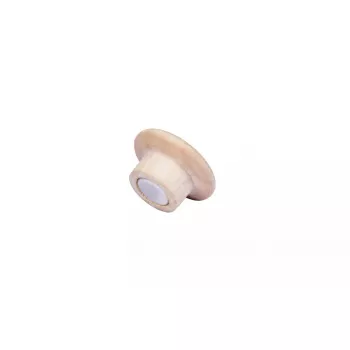 Puidust magnet Legamaster 25mm 5tk