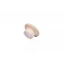 Puidust magnet Legamaster 25mm 5tk