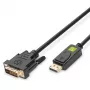 Techly Monitor DisplayPort-DVI kaabel 2 m ICOC DSP-C-020