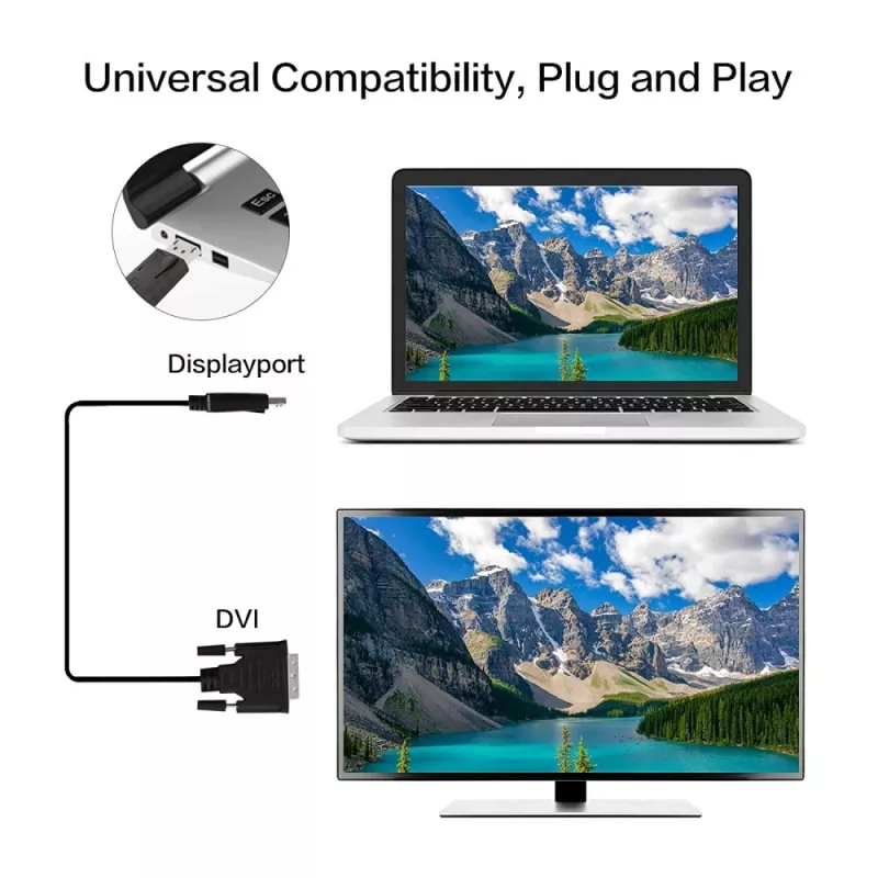 Techly Monitor DisplayPort-DVI kaabel 2 m ICOC DSP-C-020