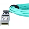 BlueOptics UACC-AOC-SFP10-50M-BO InfiniBand fiiberoptiline kaabel SFP+ 50 m isane/isane