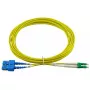 BlueOptics SFP3132BU3MX InfiniBand fiiberoptiline kaabel 3 m LC SC