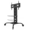 Techly ICA-TR8 teabetahvli alus 177.8 cm (70 tolli) must