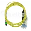 BlueOptics CBL-MPO12-4LC-SMF-7M-BO InfiniBand fiiberoptiline kaabel 7,5 m MPO 4x LC