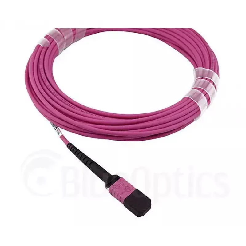 BlueOptics CBL-MPO12-4LC-OM4-3M-BO InfiniBand fiiberoptiline kaabel 4x LC MPO 3m