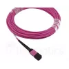 BlueOptics CBL-MPO12-4LC-OM4-5M-BO InfiniBand fiiberoptiline kaabel 4x LC MPO 5m