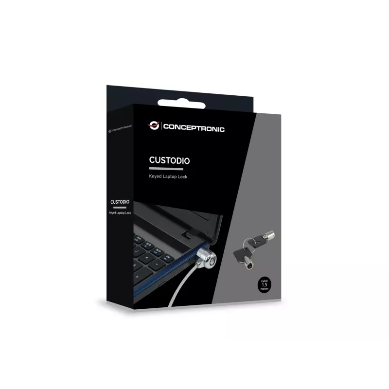 Conceptronic CNBSLOCK15 turvakaabel Hõbedane 1,5 m
