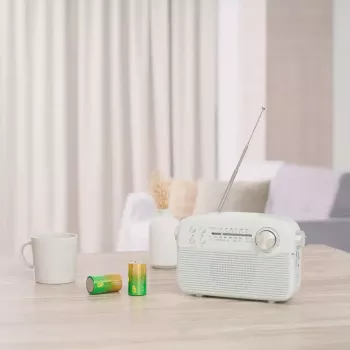 Ühekordne patarei GP Batteries 03013AUETA-B2 D Leelispatarei