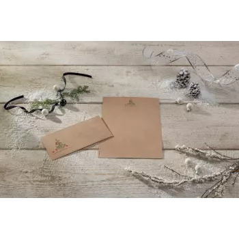 Printing Paper Sigel DP415 A4 100 Sheets Universal Beige Brown roheline Red