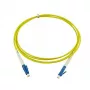 BlueOptics SFP2121BU3MK InfiniBand fiiberoptiline kaabel 3 m LC Kollane