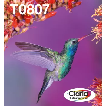 Tindikasseti mitmikpakend Epson Hummingbird T0807 — 6 värvi (must, tsüaan, hele tsüaan, hele magenta, magenta, kollane)