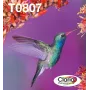 Tindikasseti mitmikpakend Epson Hummingbird T0807 — 6 värvi (must, tsüaan, hele tsüaan, hele magenta, magenta, kollane)