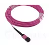 BlueOptics EMC CBL-MPO12-4LC-OM4-2M fiiberoptiline kaabel MPO 4x LC 2m