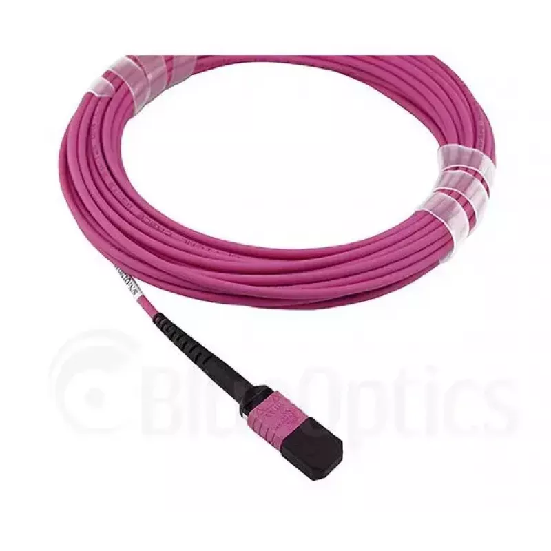 BlueOptics EMC CBL-MPO12-4LC-OM4-2M fiiberoptiline kaabel MPO 4x LC 2m