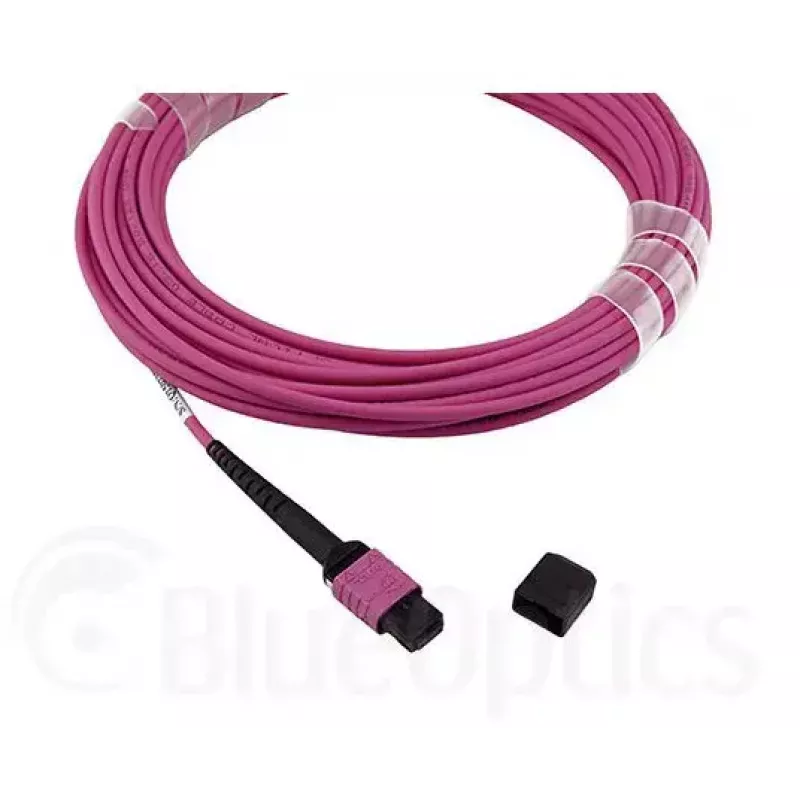 BlueOptics EMC CBL-MPO12-4LC-OM4-2M fiiberoptiline kaabel MPO 4x LC 2m