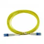 BlueOptics CAB-SMF-LC-LC-1-BO InfiniBand fiiberoptiline kaabel 1 m LC/APC