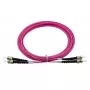 BlueOptics SFP3333FU2MK InfiniBand fiiberoptiline kaabel 2 m ST