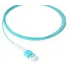 BlueOptics SFP8181EU1MK InfiniBand fiiberoptiline kaabel 1 m LC Aqua OM3