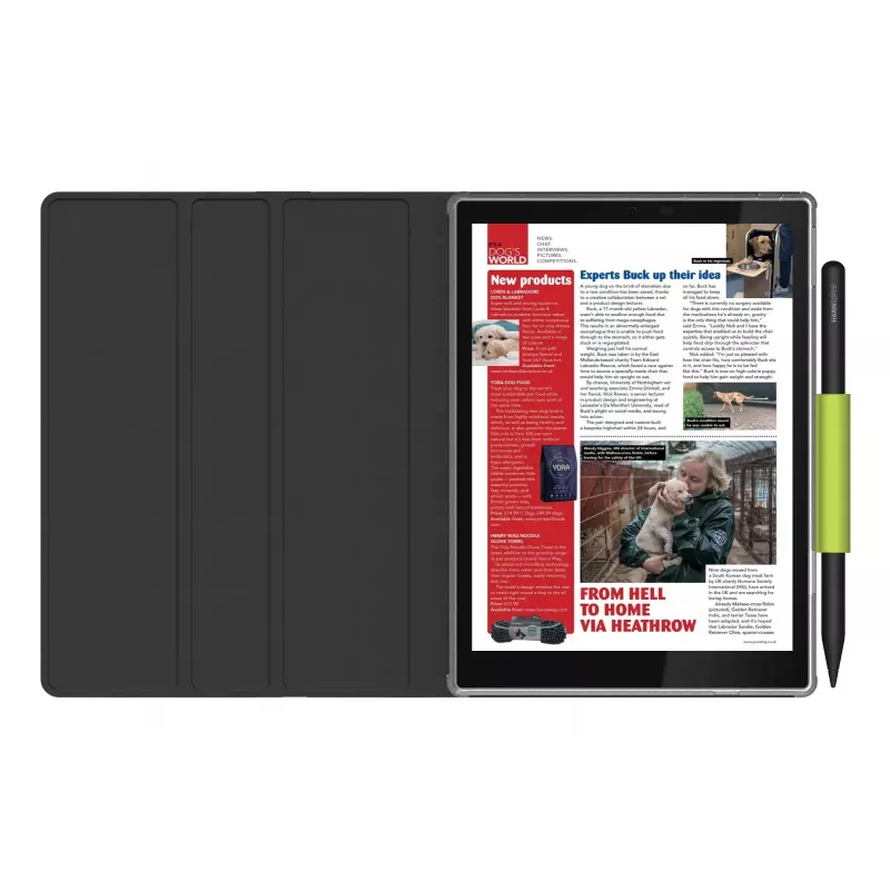 Hannspree Lumo 7.8 Reader Tablet 64 GB 19.8 cm (7.8 inch) Android Must
