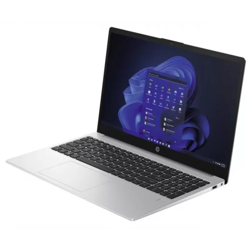 HP 250 G10 Intel® N N100 sülearvuti 39,6 cm (15,6 tolli) Full HD 8 GB DDR4-SDRAM 256 GB SSD Wi-Fi 6 (802.11ax) Windows 11 Home Hõbedane
